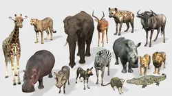 African Wildlife Ultimate 3D Collection 3D model