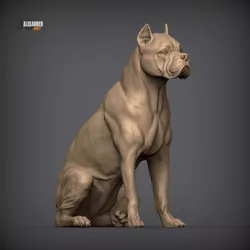Cane Corso Sitting  Realistic Dog Sculpture 3D print model