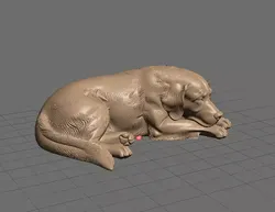 Golden Retriever 3D print model