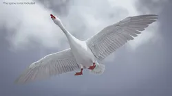 Goose with Spread Wings White 3D model