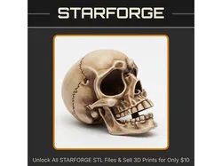 Realistic Human Skull Anatomical Model for Educational Display StarForge Kits 3D Print STL File