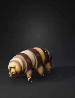 tardigrade microscopic water bear with segmented body and multiple cl