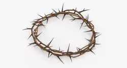 Thorn Crown 3D model