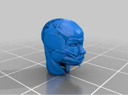 Facial Reconstruction of A Saxon Aged Male Using Open Source Technology