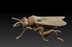 Honey bee 3D print model