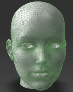 Solid female head 2 3D print model