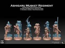 Ashigaru Musket Regiment 3D print model