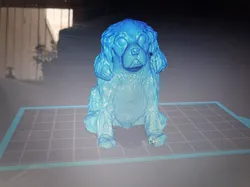 Cavalier King Charles Spaniel  3D print model