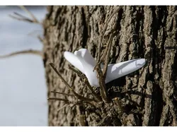 MakerBird by