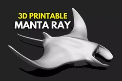 Manta Ray - Mantas - 3D Print - Aquarium 3D print model