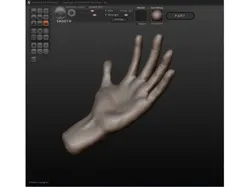 Hand