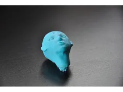 Human head(woman)