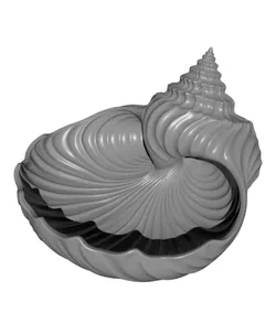 Seashell Jewelry Tray STL – Coastal Ring Dish & Ocean Vanity Organizer