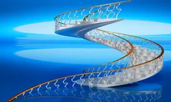 Spiral Stairway 01
