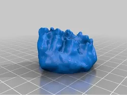 Teeth
