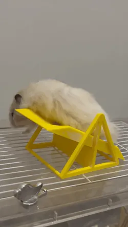 Hamster Slide Seesaw - Free 3D Print Model
