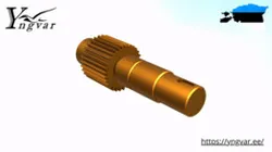 Spur gear shaft