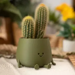 potted succulent and plants 3D print model