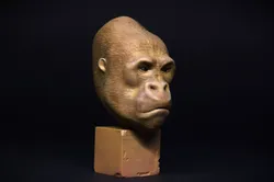 gorilla 3D print model  3D print model