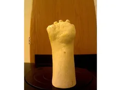 Peregrine Paw