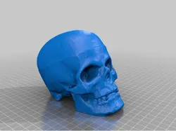 TheSkull
