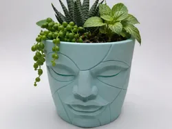 Dream Face Planter the Silent Guardian - Free 3D Print Model
