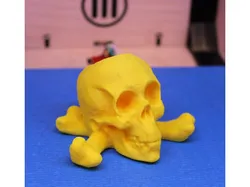Skull & Crossbones