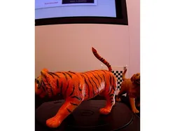 Tiger Tiger