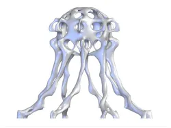 Octo Coral