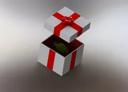 Suprise Present