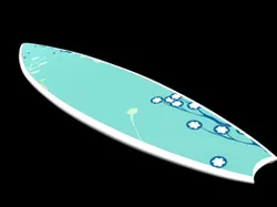 Surf Board