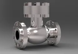 swing check valve