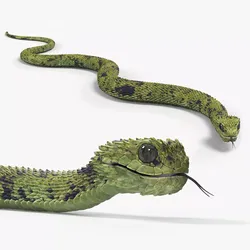 Bush Viper Snake Green Crawling 3D model
