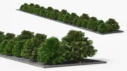 Garden Shrub Row with Decorative Gravel Green Gray 3D model