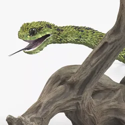 Green Bush Viper on Dry Tree Branch 3D model