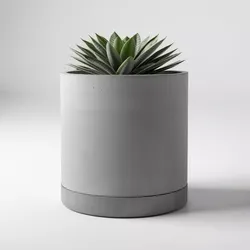 Modern Concrete Potted Succulent 3D model