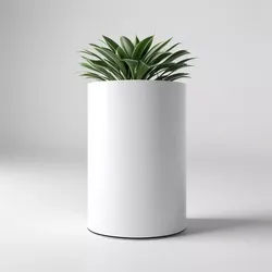 Modern Cylindrical Potted Houseplant 3D model