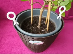 Plant Pot Lifter