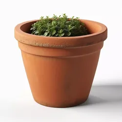 Rustic Terracotta Potted Plant 3D model