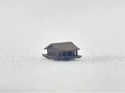 Simple Peasant House