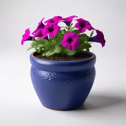 Vibrant Potted Petunia Flower Plant 3D model