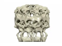 Coral Lamp