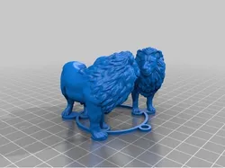 Lions Medallion