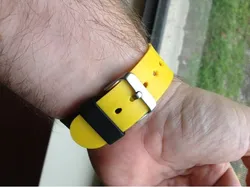 Pebble Watchband