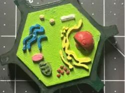 plant cell - Free 3D Print Model