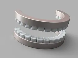 teeth