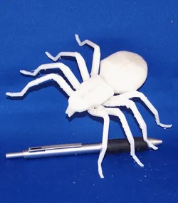 Big Spider