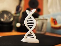 Double helix challenge