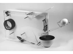 Rube Goldberg Machine
