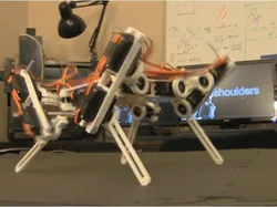DogBot